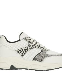 Genesisgarb.shop34b376ebe5 1