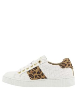 Genesisgarb.shop3d05295c0f 3