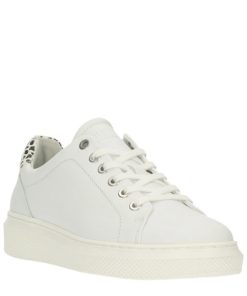 Genesisgarb.shop413ec3ff88 2