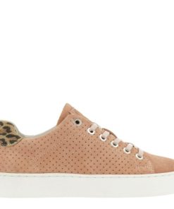 Genesisgarb.shop52e0b4f407 1