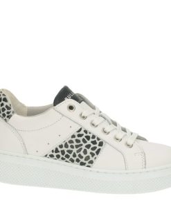 Genesisgarb.shop71433987bb 1